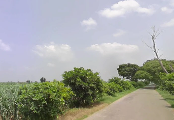 Alamgir Pur, Uttar Pradesh 250502, India