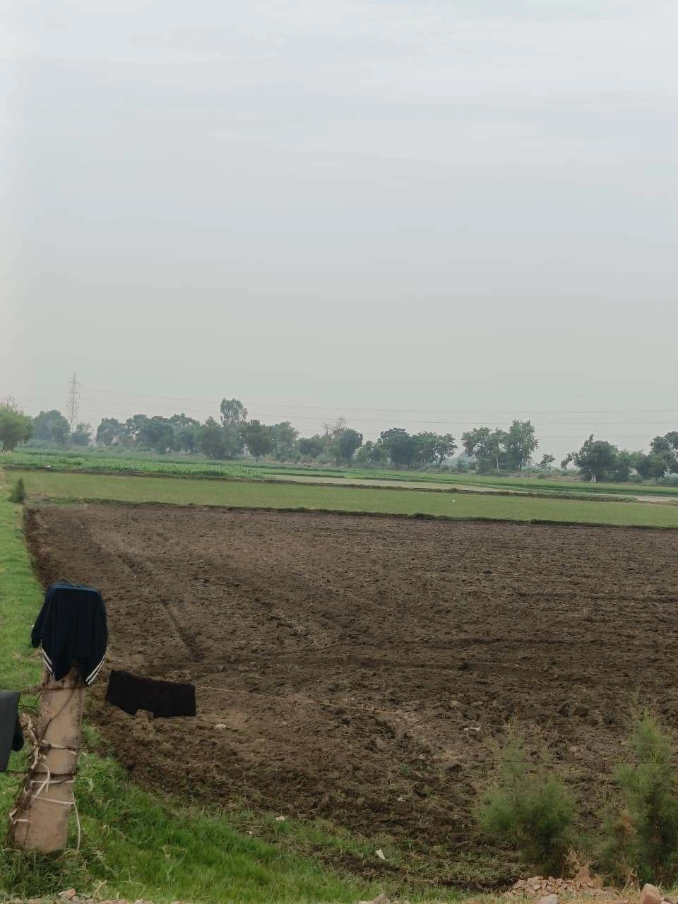 Adampur, Uttar Pradesh, India