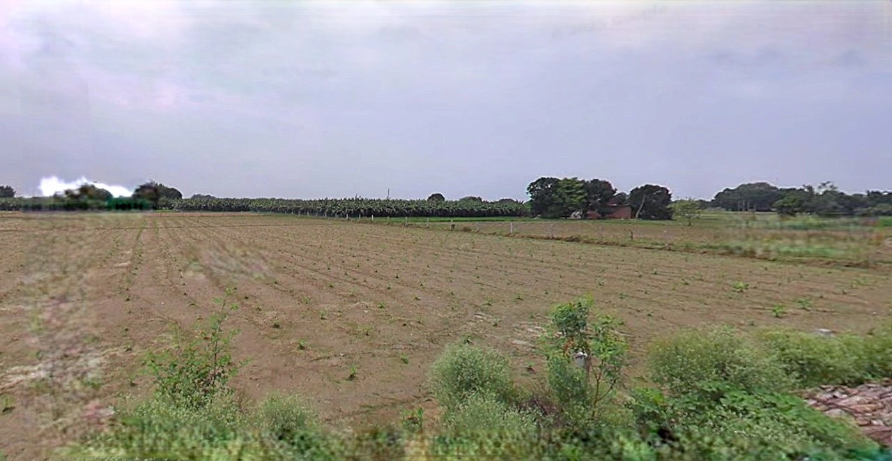 Sonipat, Haryana, India