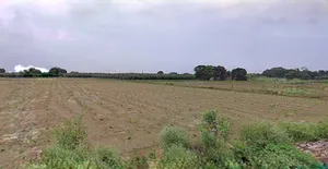 Sonipat, Haryana, India preview 3