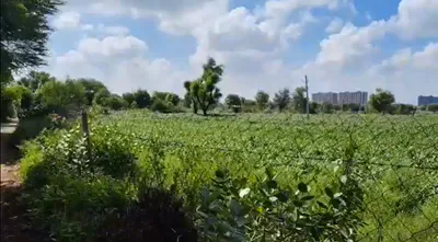 3F3H+PPQ, Jalandhar, Mehatpur, Punjab 144041, India preview 2