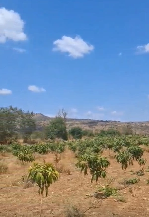 26J5+QP Ghodade, Dhule District, Maharashtra, India