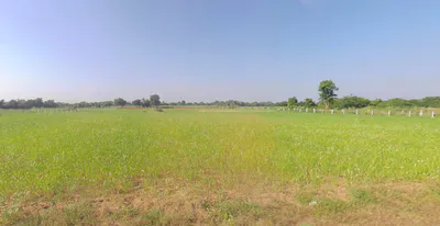 Girgadhada, Gujarat, India preview 3