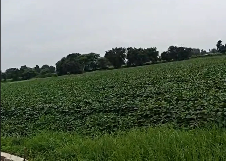 27FH+5WR, Dewas, Sadikheda, Madhya Pradesh, India