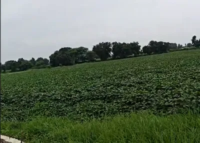 27FH+5WR, Dewas, Sadikheda, Madhya Pradesh, India preview 3