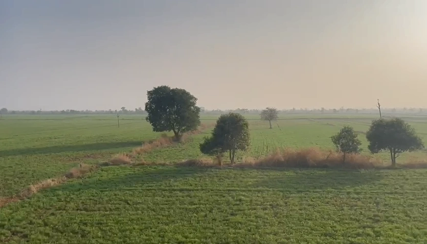 WFR6+XQM, Indore, Atyana, Madhya Pradesh, India