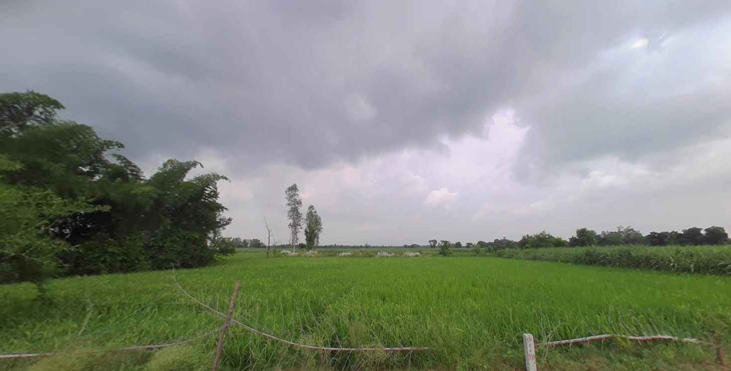 Puranpur, Uttar Pradesh 262122, India