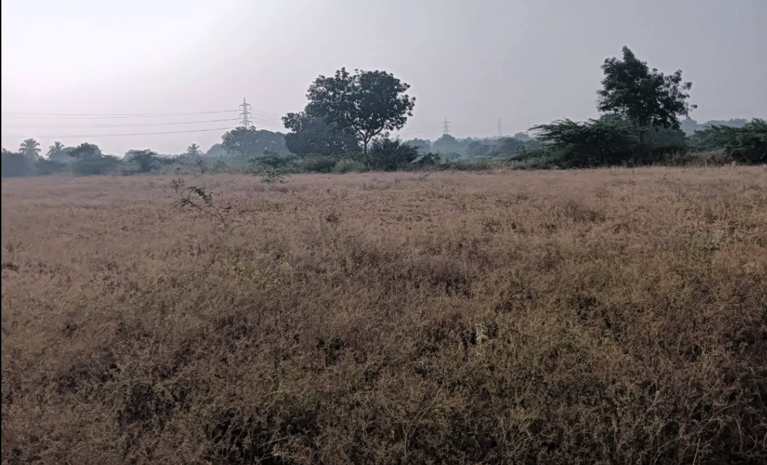 Hiriyur, Karnataka, India