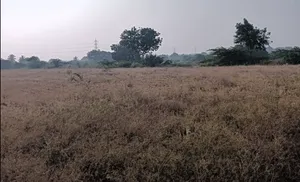 Hiriyur, Karnataka, India preview 3