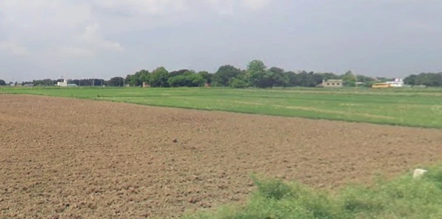 Alli, Madhya Pradesh 464551, India