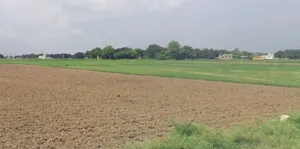 Alli, Madhya Pradesh 464551, India preview 3