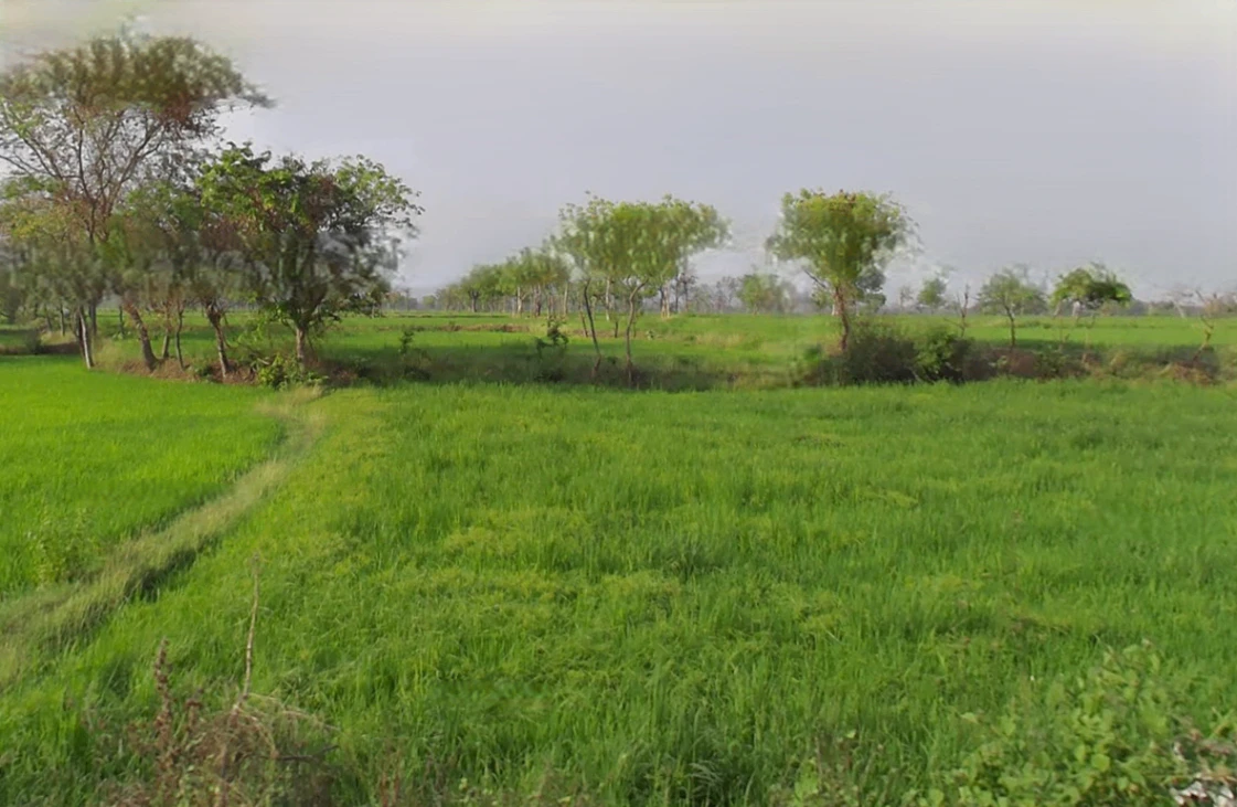 Basin, Chhattisgarh 491340, India