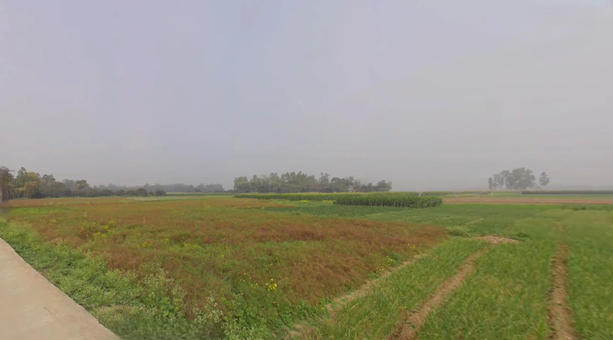 Belghoria, Kolkata, West Bengal, India