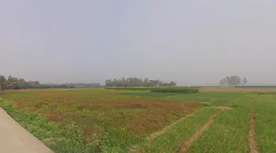 Belghoria, Kolkata, West Bengal, India preview 2