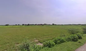 Pahari, Rajasthan, India preview 3