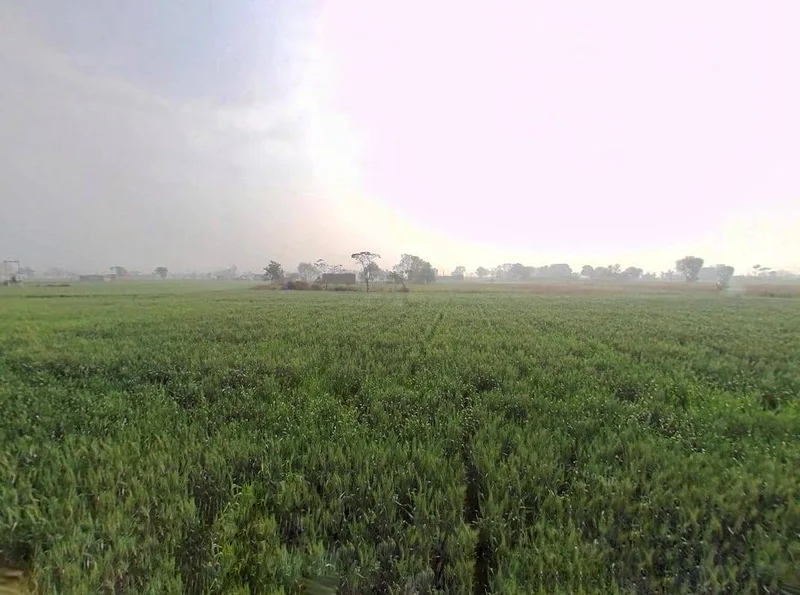 Sirmaur, Rajasthan, India preview 2