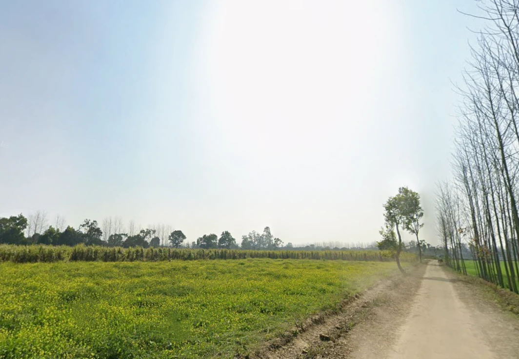 Pilkhani, Uttar Pradesh 247451, India