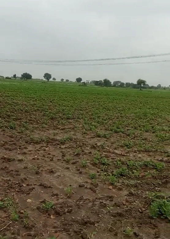 W3WP+H6V, Agar Malwa, Susner, Madhya Pradesh 465447, India