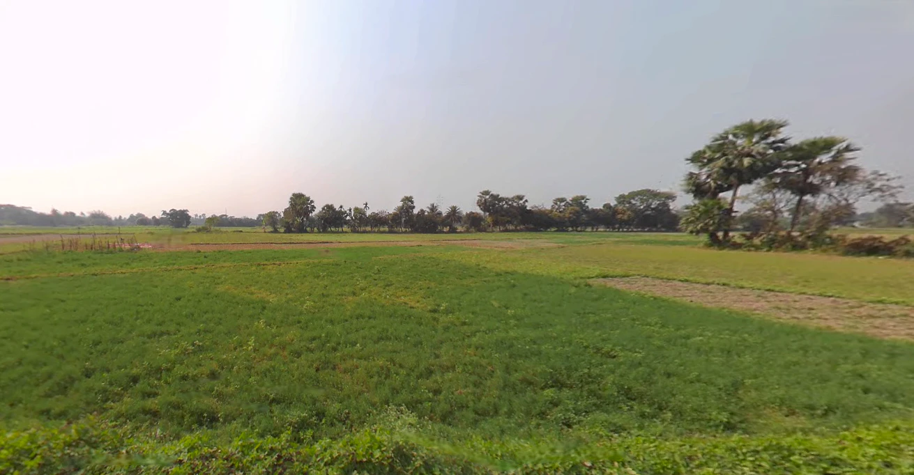 Kheyadah, Kheyadah Village, Kolkata, West Bengal 700150, India