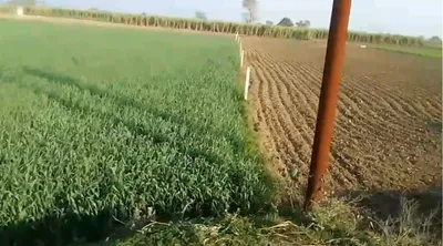 2P37+8MP, Khejdiyabhop, Madhya Pradesh 458888, India preview 2