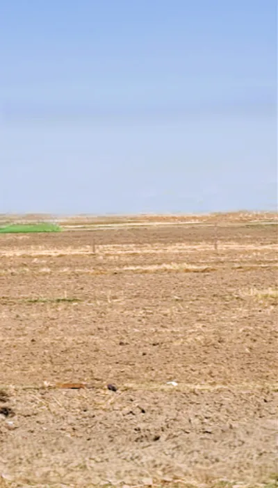RWPR+43C, Kharkhoda, Haryana 131402, India preview 3