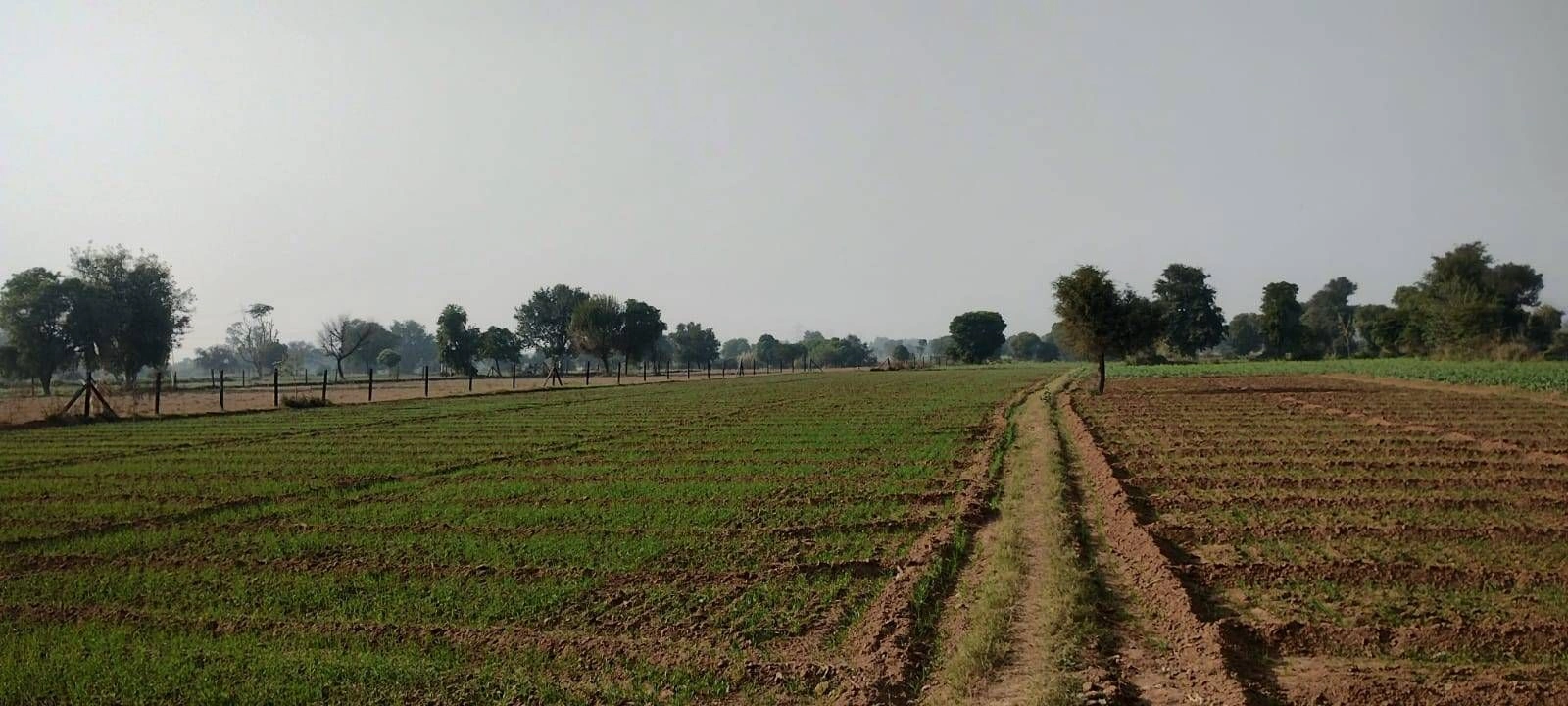 58FH+F9 Aghwanpur, Palwal, Haryana, India preview 2