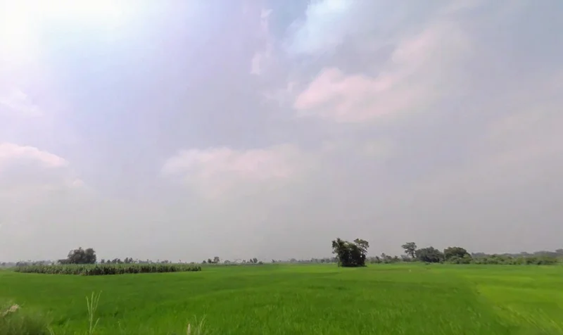 9V4R+WJ, Phultakiya, Bihar 843125, India preview 2