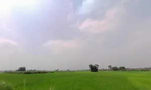 9V4R+WJ, Phultakiya, Bihar 843125, India preview 2