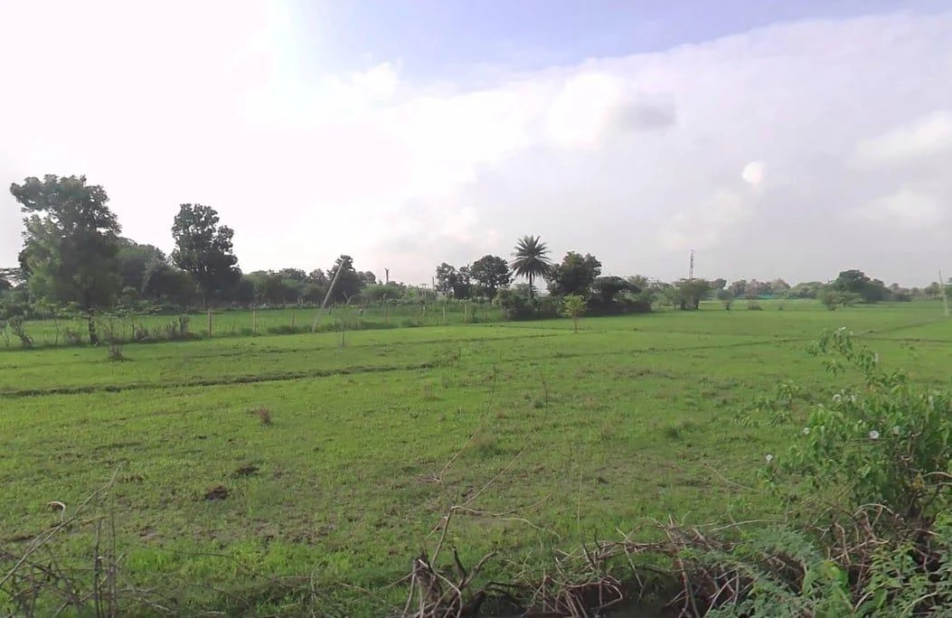 J273+2J4, Bhatewar, Rajasthan 313601, India