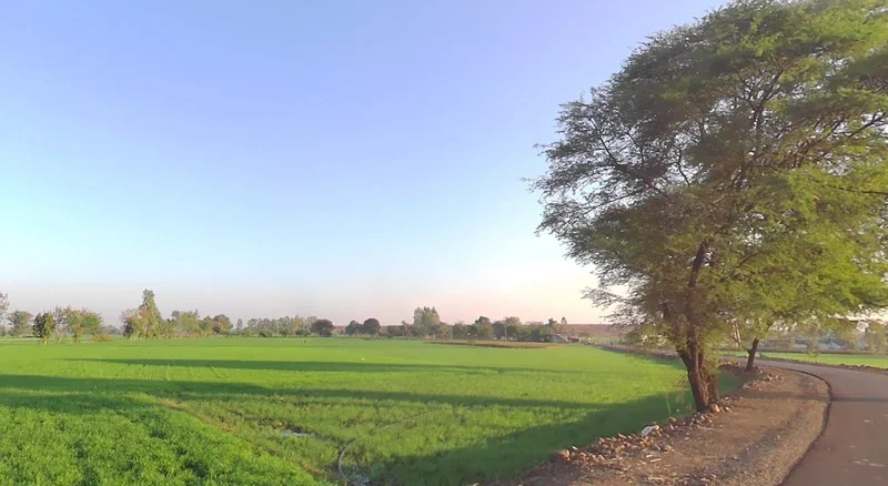 Suraiya, Madhya Pradesh 483105, India preview 3