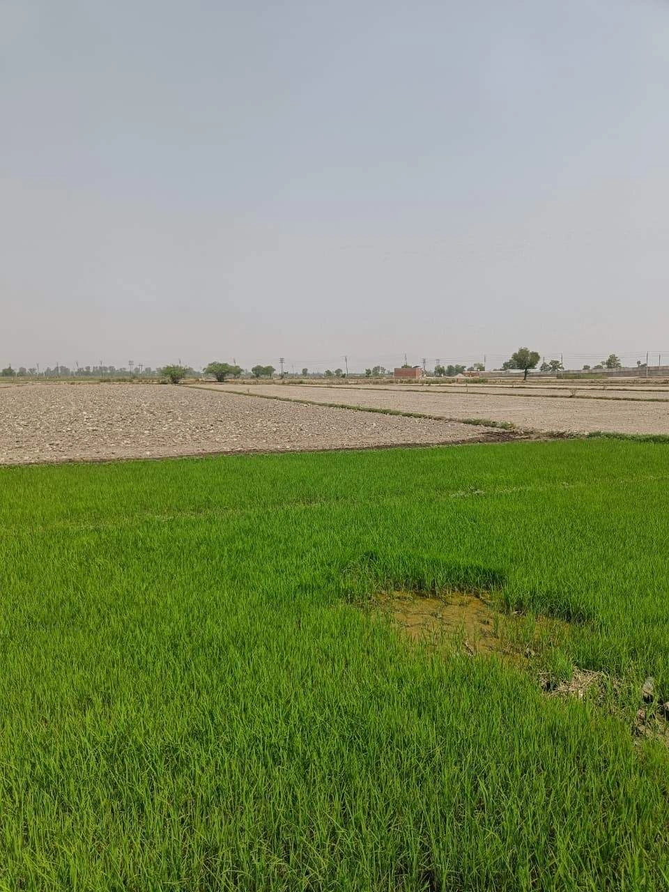 Sahar, Uttar Pradesh, India