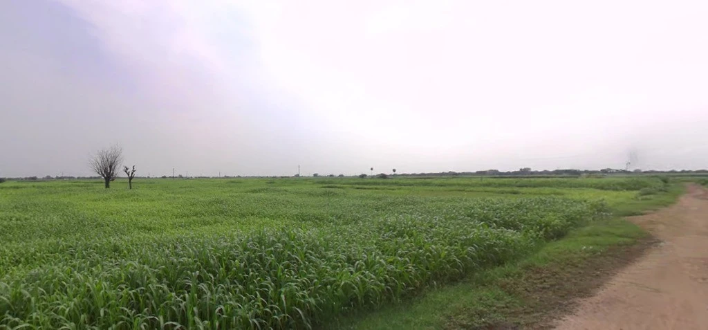 Kasrawad, Madhya Pradesh 451228, India