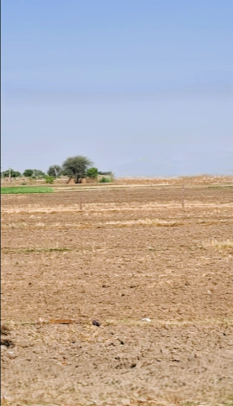 Kharkhoda, Haryana 131402, India