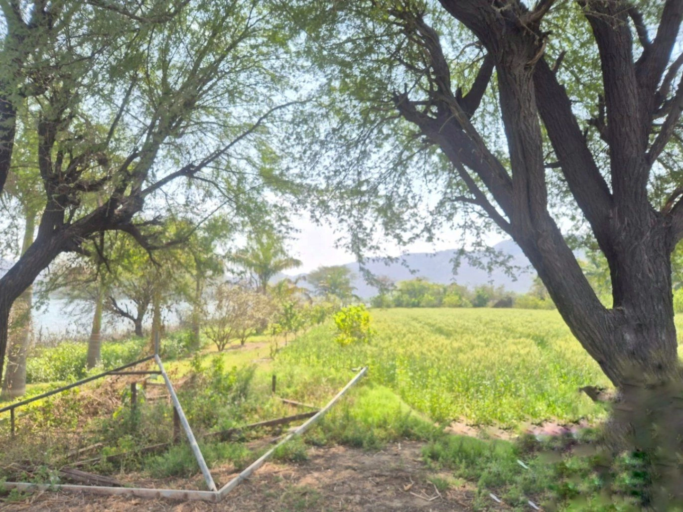 GGJF+3RP, Kishanpur, Rajasthan 301001, India