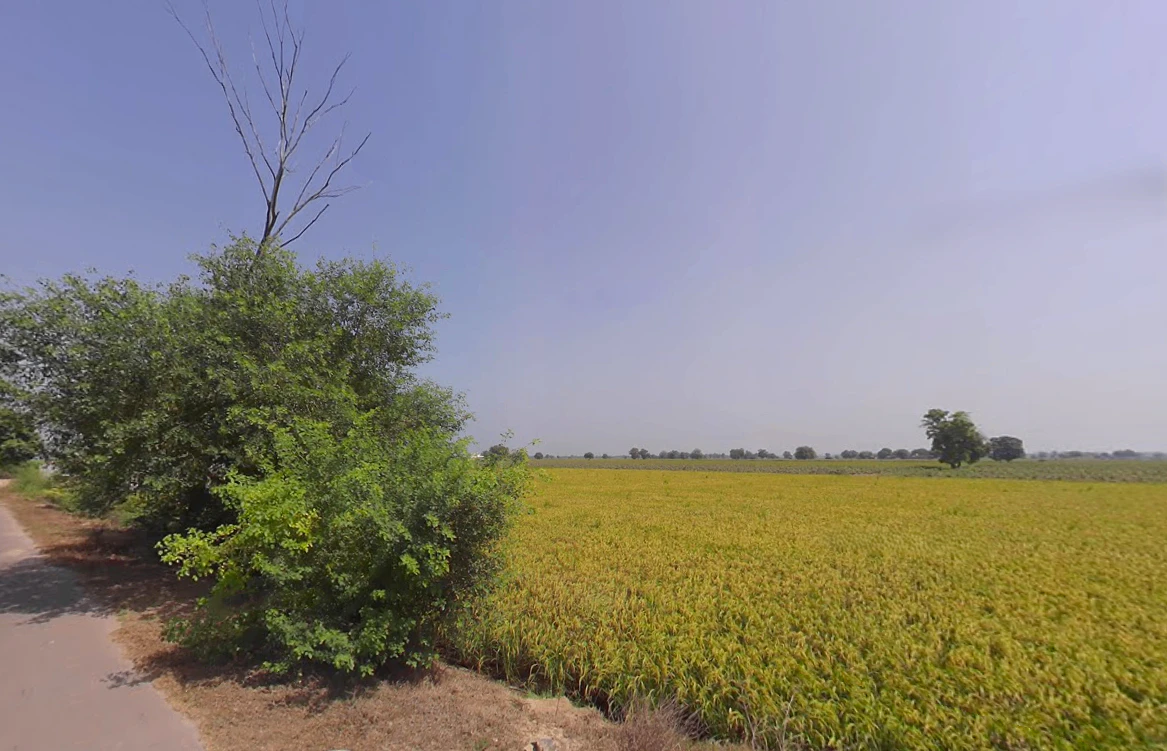 Khunan, Haryana 125051, India