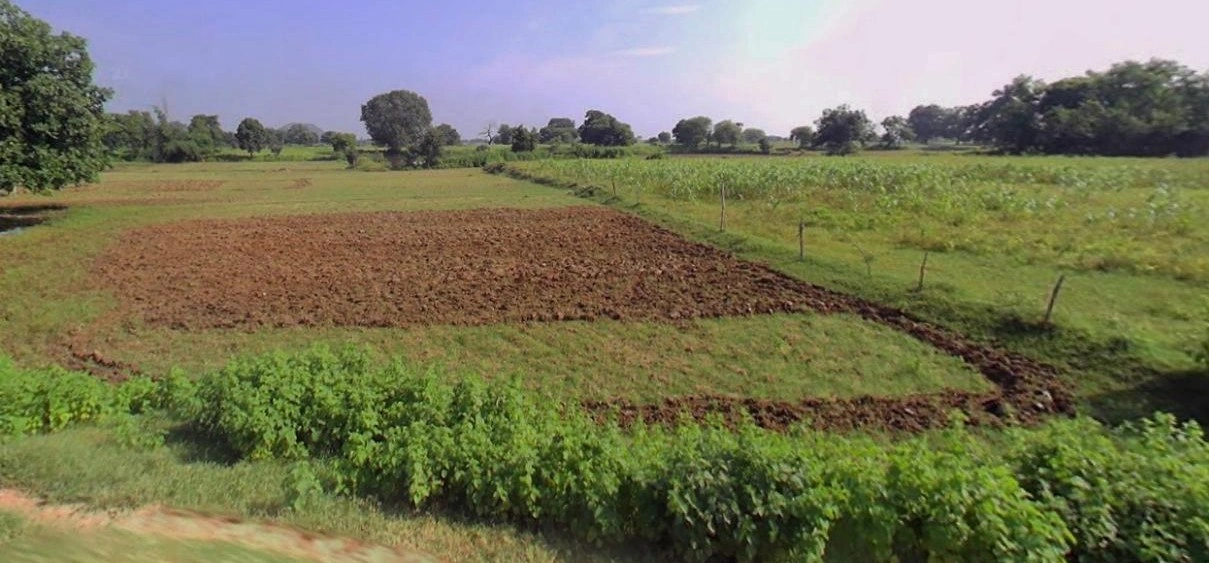 Barnagar, Madhya Pradesh 456771, India