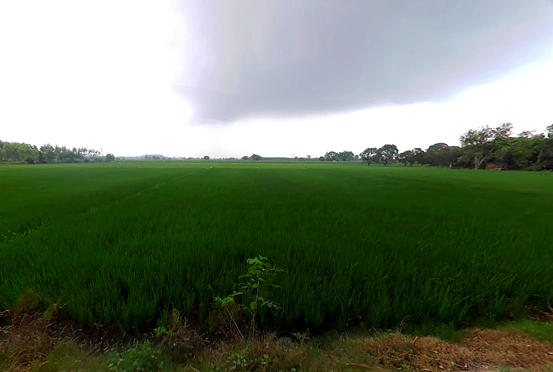 Jagadhri, Haryana, India