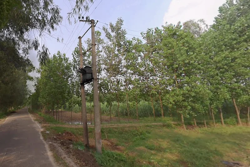 Mata Shakumbhari Devi Rd, Madhav Nagar, Saharanpur, Uttar Pradesh, India preview 3