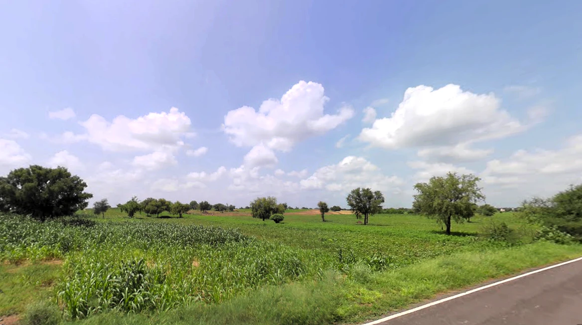 Balsamand, Haryana 125004, India