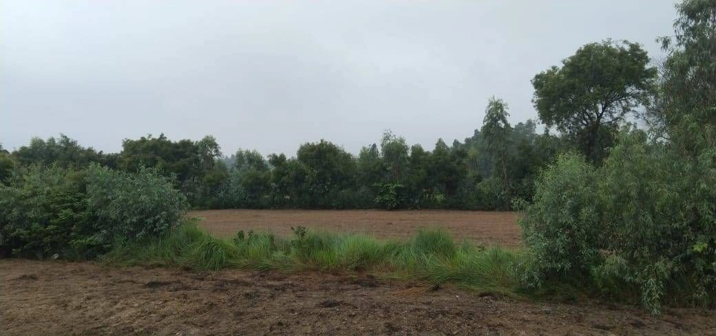 Khandauli, Agra, Uttar Pradesh 283126, India