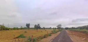 522H+V56, Nagor Rd, खेडापा, जोधपुर, Sri Lachhamannag, Rajasthan 342312, India preview 2