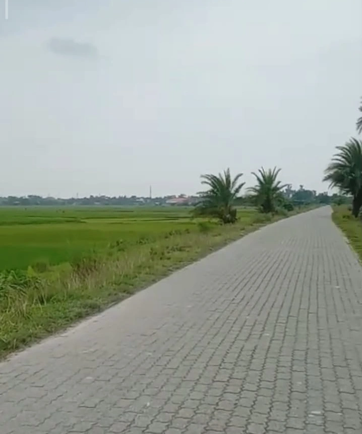 NH 37, Gotlong Main Rd, near All India Radio Center, Dolabari, Tezpur, Assam 784027, India