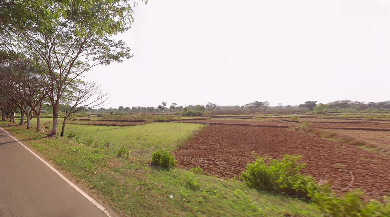 Kokalaba, Odisha 761131, India