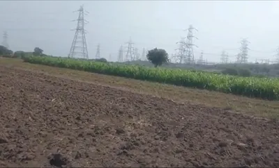 Masturi, Bilaspur, Chhattisgarh 495551, India preview 2