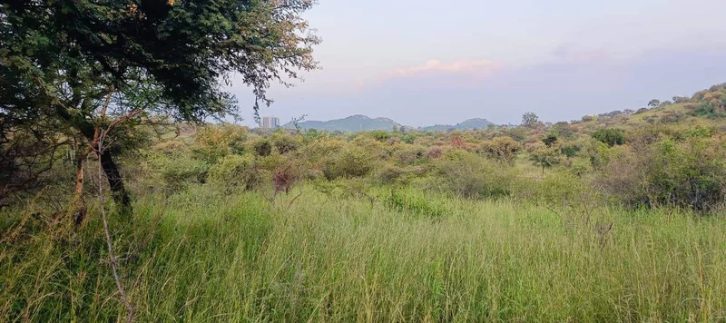 VQPH+QF Rabcha, Rajasthan, India preview 4