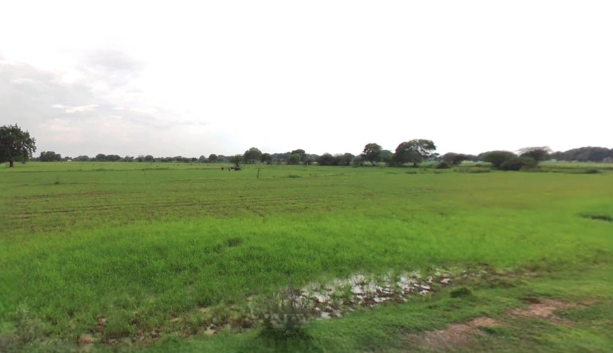 Railway Station Rd, Kalapipal Mandi, Madhya Pradesh 465337, India