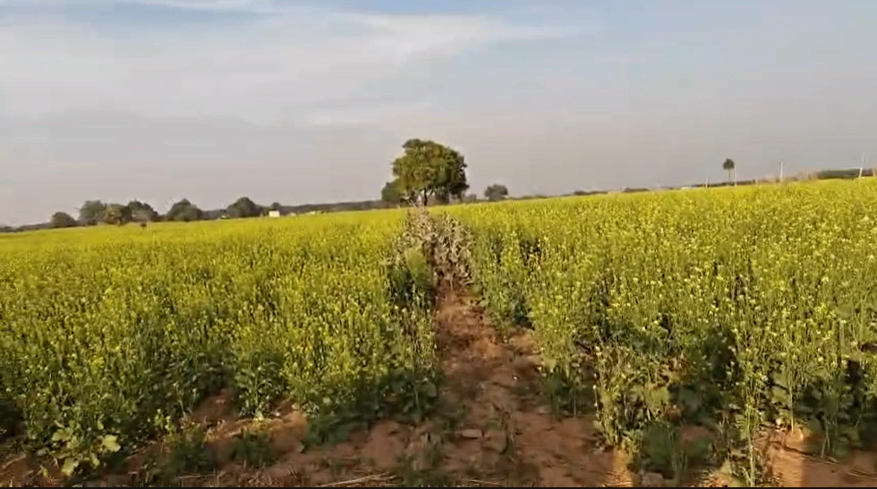 9R7C+2P Maujpur, Rajasthan, India