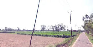 Kalariya, Madhya Pradesh 465447, India preview 2