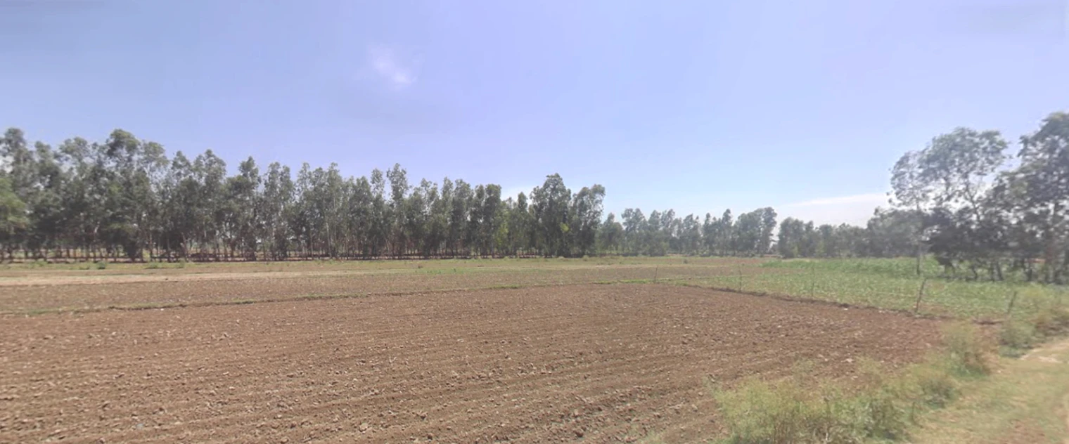 Powayan, Uttar Pradesh 242401, India