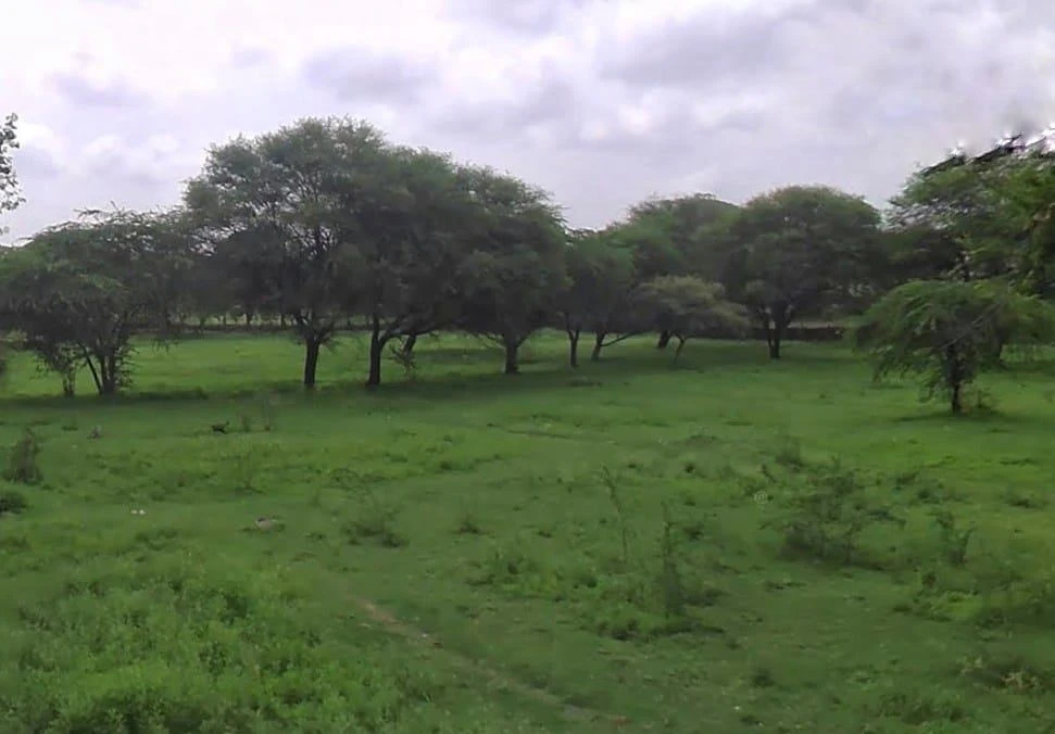 Ramsar Palawala, Rajasthan, India